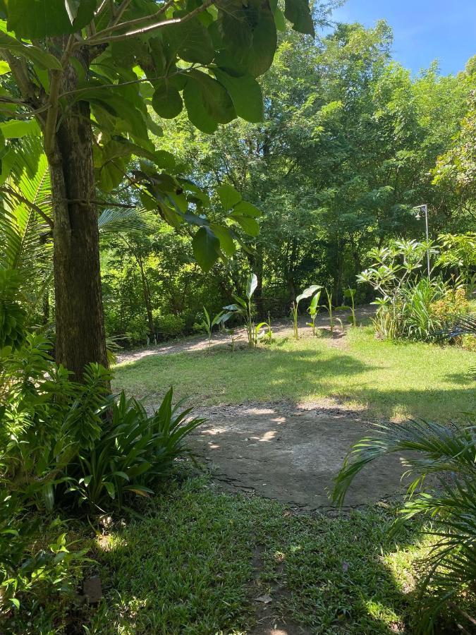 Rimba Bungalow Apartment Kuta  ภายนอก รูปภาพ