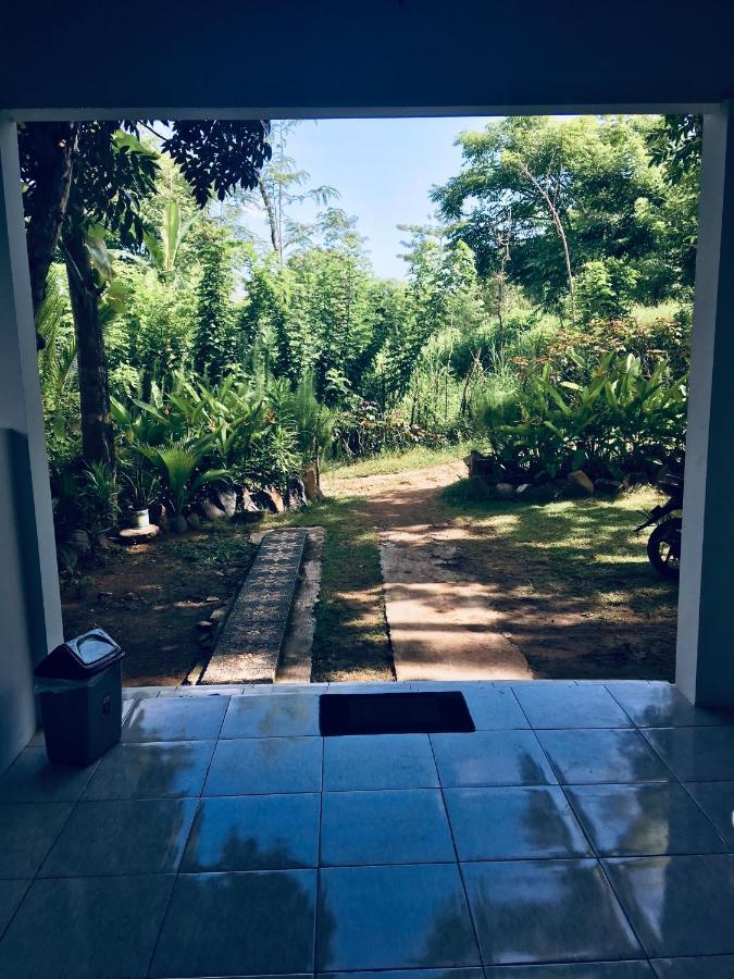 Rimba Bungalow Apartment Kuta  ภายนอก รูปภาพ